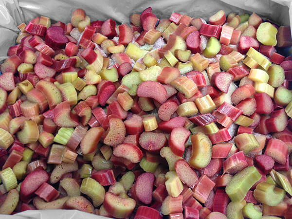 Rhubarb