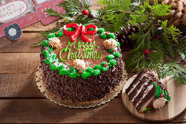 Chocolate fudge cake decorated for christmas
