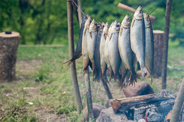 Fish being smoked over a fire