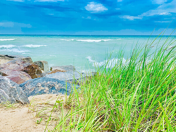 Picnic at a public beach or park