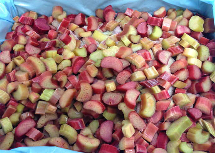 Chopped late Spring rhubarb